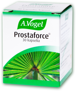 Sågpalm